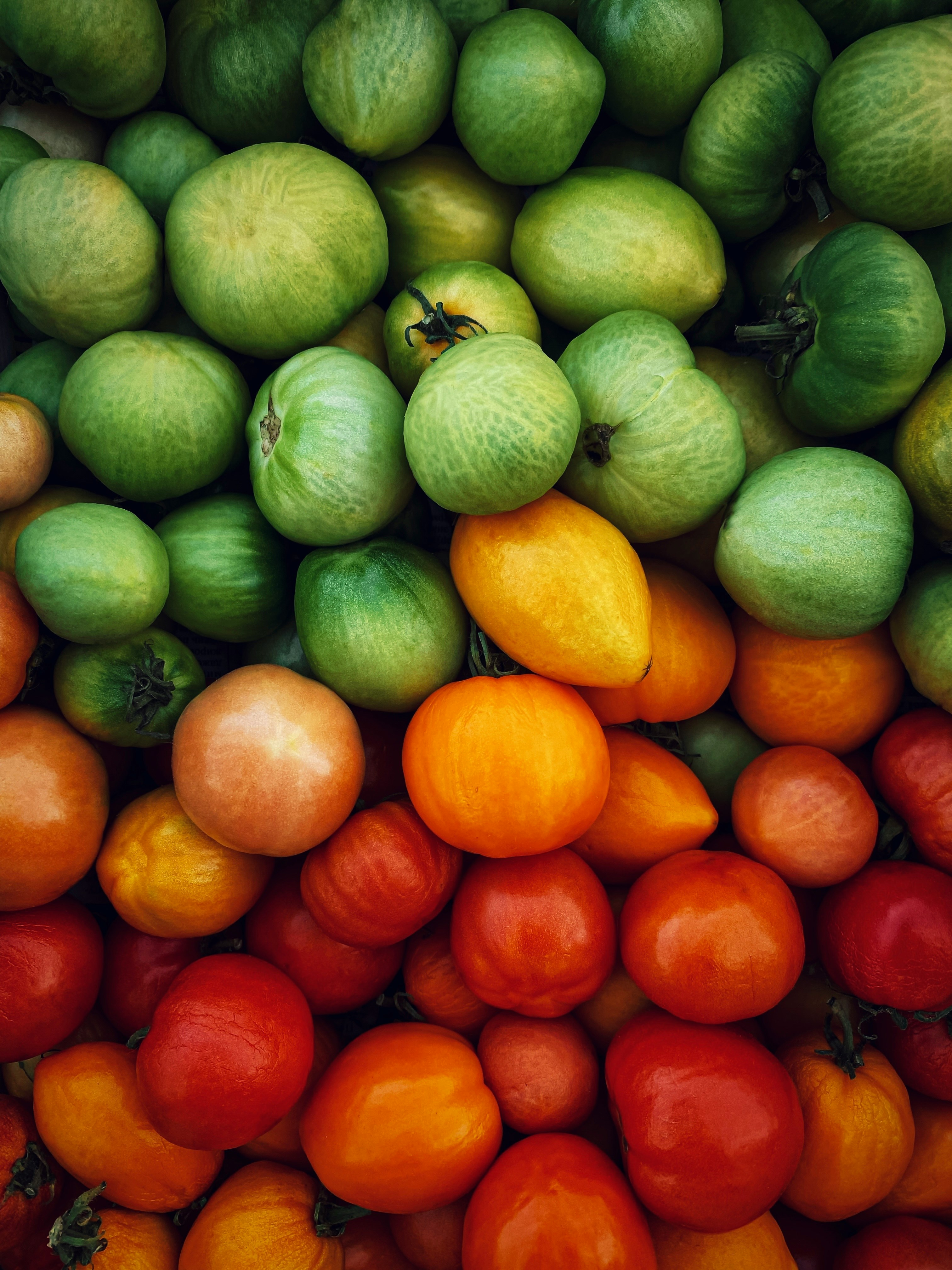 Exportación de Frutas